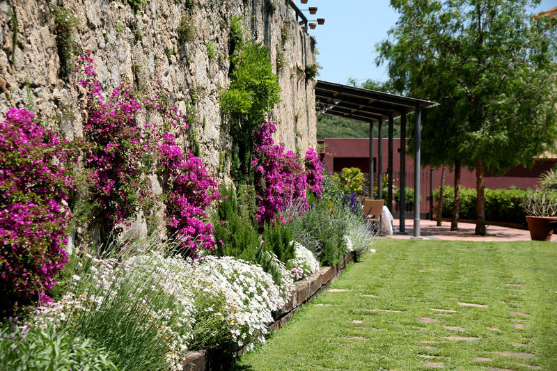 Hotel Castell De L'Oliver Mataró Exterior foto